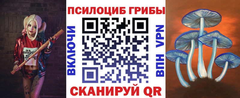 Купить закладки  Липки  Галлюциногенные грибы Cubensis 